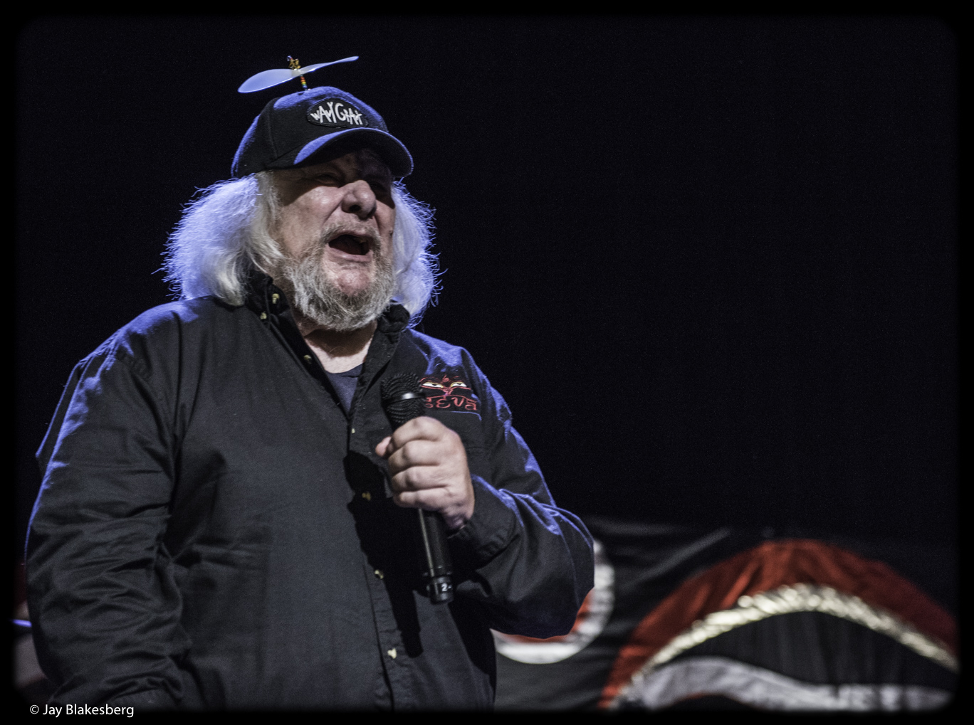 Wavy Gravy Wavy Gravy - Wavy Gravy